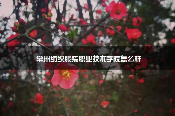 常州纺织服装职业技术学院怎么样