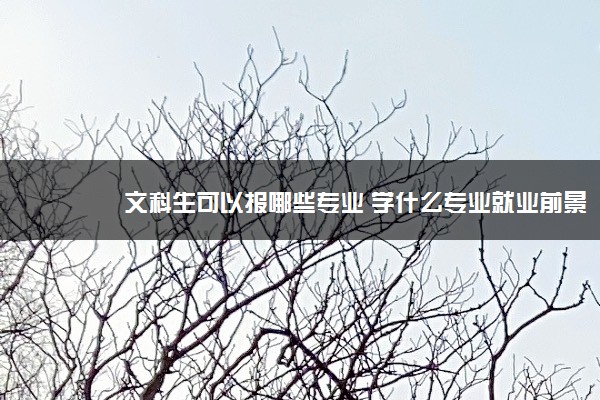 文科生可以报哪些专业 学什么专业就业前景好