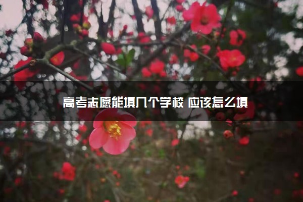 高考志愿能填几个学校 应该怎么填