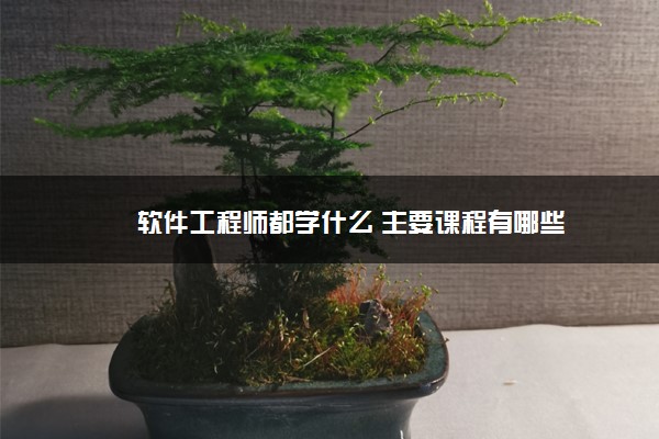 软件工程师都学什么 主要课程有哪些