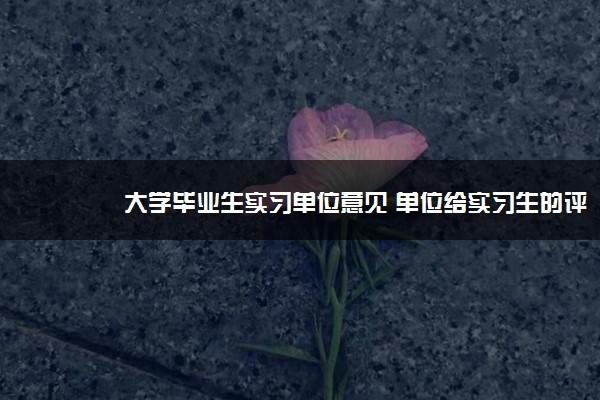 大学毕业生实习单位意见 单位给实习生的评语