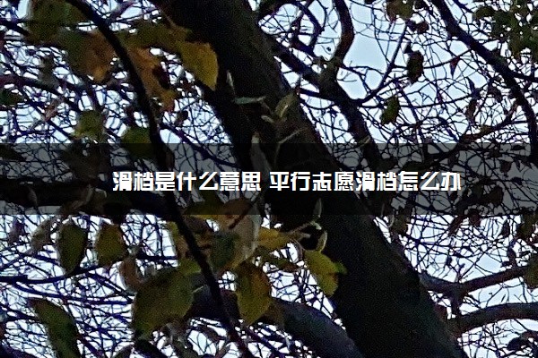 滑档是什么意思 平行志愿滑档怎么办