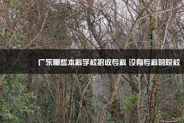 广东哪些本科学校招收专科 设有专科的院校名单