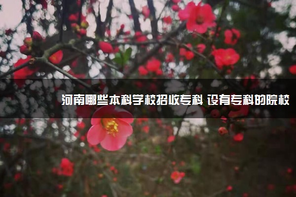 河南哪些本科学校招收专科 设有专科的院校名单