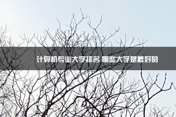 计算机专业大学排名 哪些大学是最好的