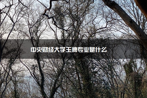 中央财经大学王牌专业是什么