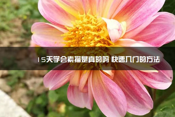 15天学会素描是真的吗 快速入门的方法