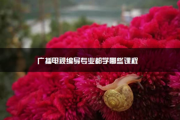 广播电视编导专业都学哪些课程