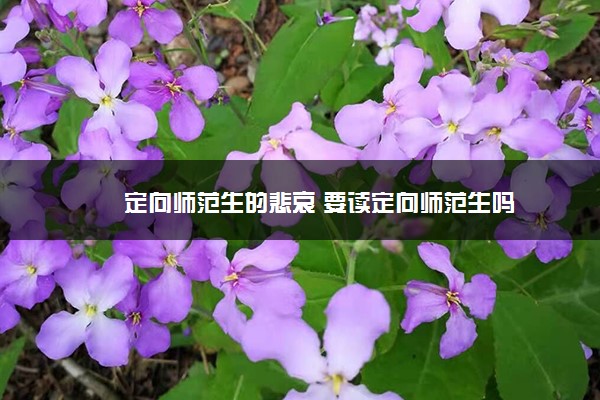 定向师范生的悲哀 要读定向师范生吗