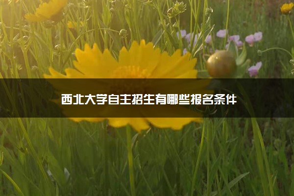 西北大学自主招生有哪些报名条件