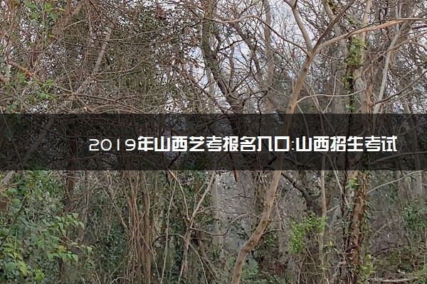 2019年山西艺考报名入口：山西招生考试网