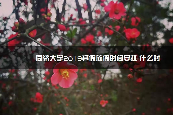 同济大学2019寒假放假时间安排 什么时候放寒假