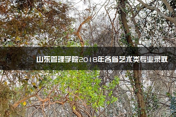 山东管理学院2018年各省艺术类专业录取分数线