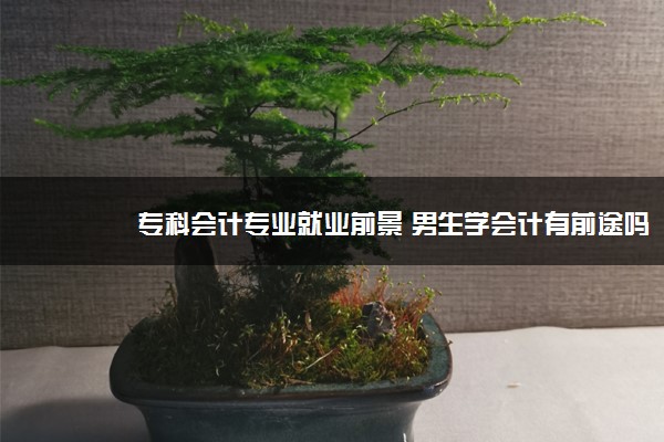 专科会计专业就业前景 男生学会计有前途吗