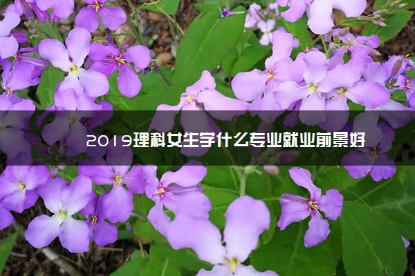 2019理科女生学什么专业就业前景好