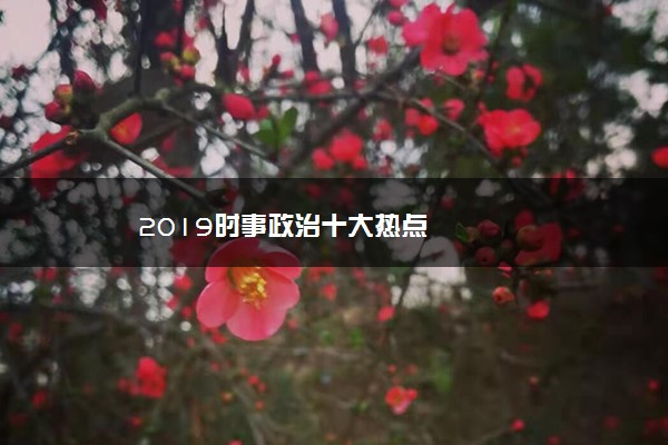 2019时事政治十大热点