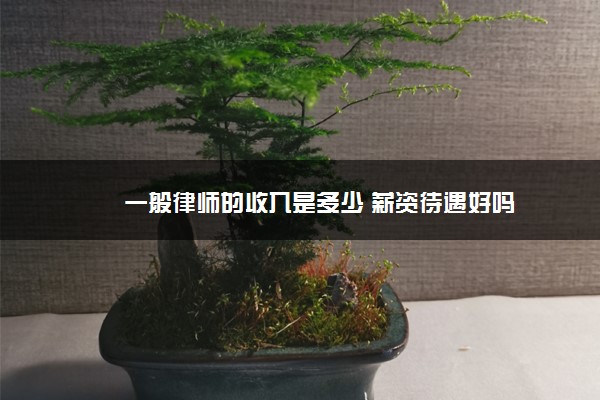 一般律师的收入是多少 薪资待遇好吗