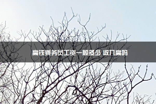 高铁乘务员工资一般多少 收入高吗