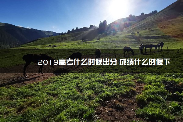 2019高考什么时候出分 成绩什么时候下来