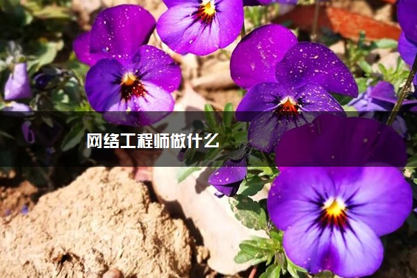 网络工程师做什么