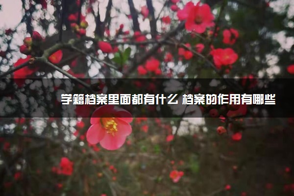 学籍档案里面都有什么 档案的作用有哪些