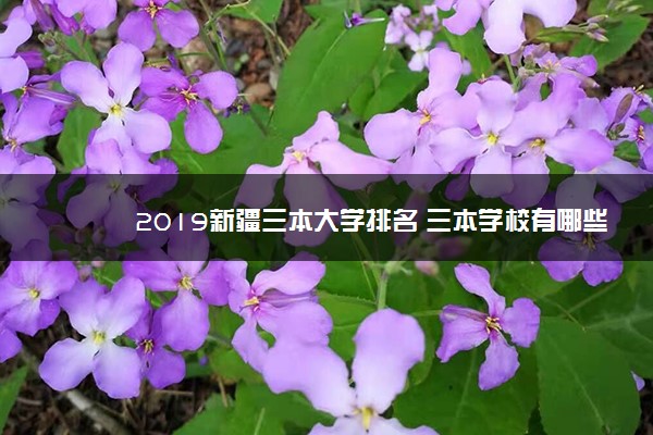 2019新疆三本大学排名 三本学校有哪些