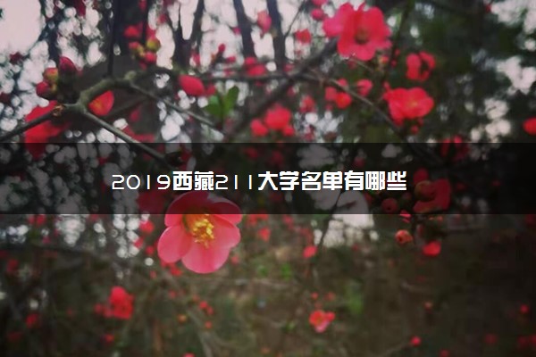 2019西藏211大学名单有哪些