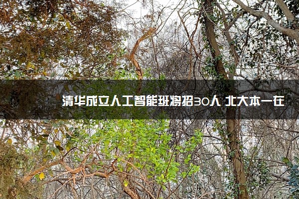 清华成立人工智能班将招30人 北大本一在京招167人