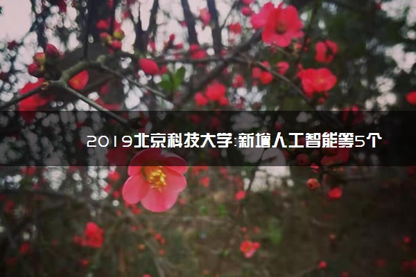 2019北京科技大学：新增人工智能等5个本科专业