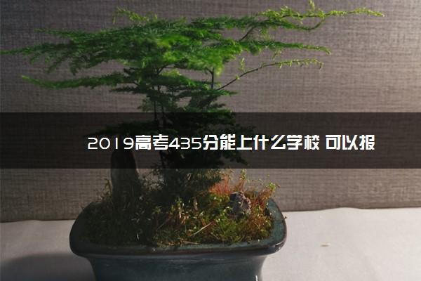 2019高考435分能上什么学校 可以报哪些学校