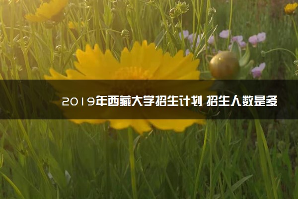 2019年西藏大学招生计划 招生人数是多少