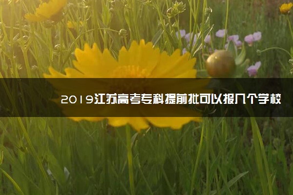 2019江苏高考专科提前批可以报几个学校