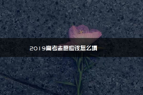 2019高考志愿应该怎么填