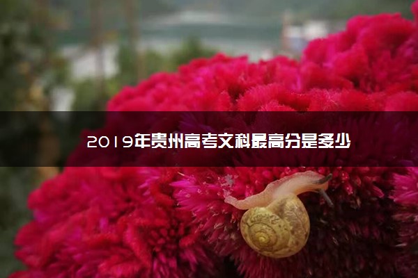 2019年贵州高考文科最高分是多少