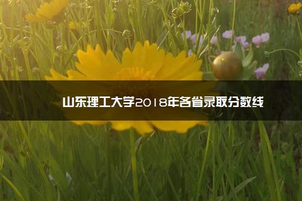 山东理工大学2018年各省录取分数线