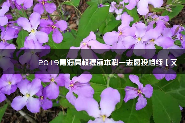 2019青海高校提前本科一志愿投档线【文科 理科】