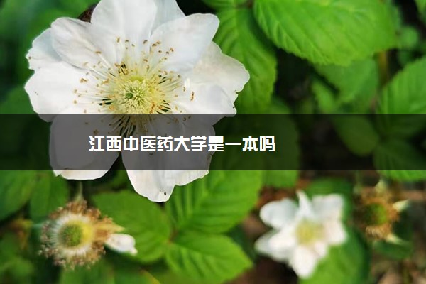 江西中医药大学是一本吗