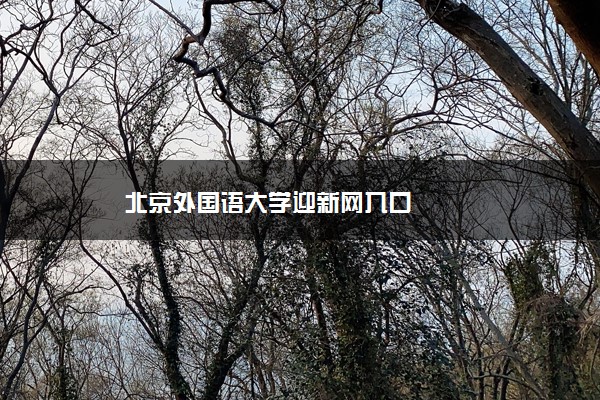 北京外国语大学迎新网入口