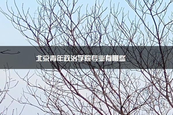 北京青年政治学院专业有哪些