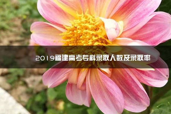 2019福建高考专科录取人数及录取率