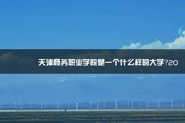 天津商务职业学院是一个什么样的大学？2020年天津商务职业学院介绍