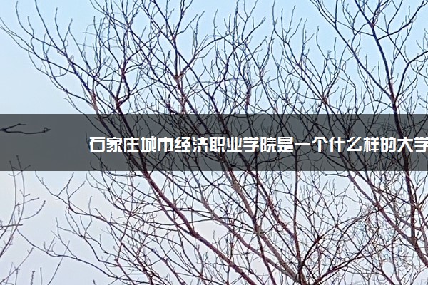 石家庄城市经济职业学院是一个什么样的大学？2020年石家庄城市经济职业学院介绍