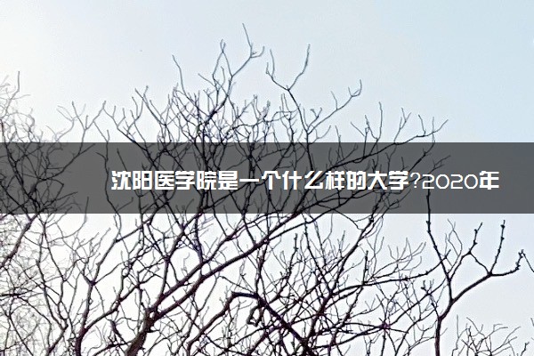 沈阳医学院是一个什么样的大学？2020年沈阳医学院介绍