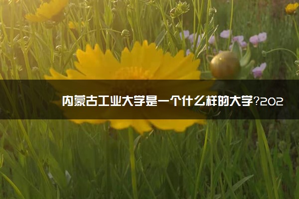 内蒙古工业大学是一个什么样的大学？2020年内蒙古工业大学介绍