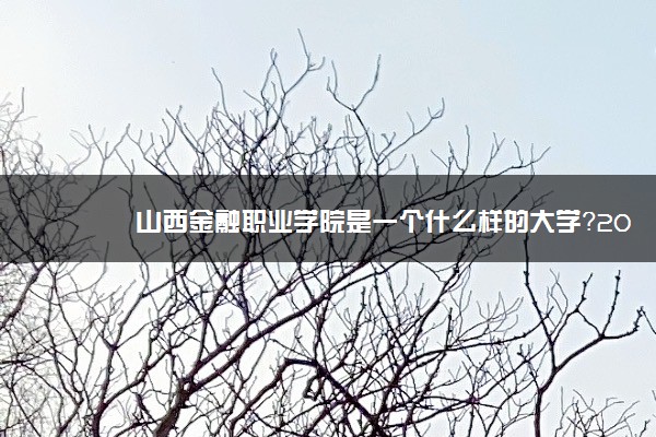 山西金融职业学院是一个什么样的大学？2020年山西金融职业学院介绍