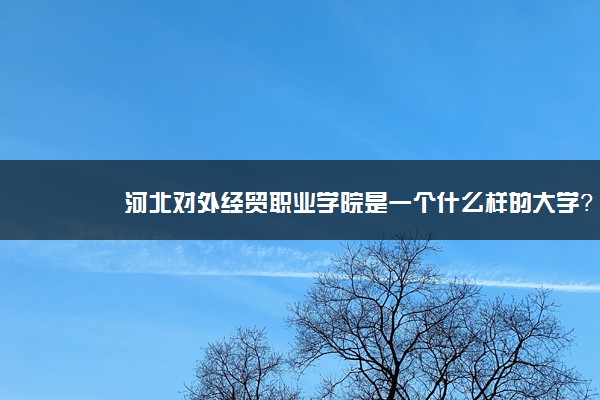 河北对外经贸职业学院是一个什么样的大学？2020年河北对外经贸职业学院介绍