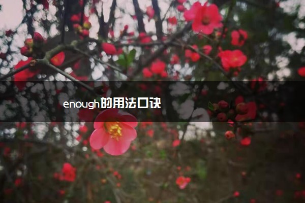 enough的用法口诀