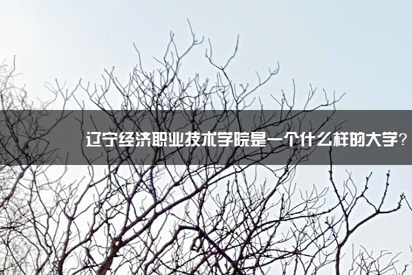 辽宁经济职业技术学院是一个什么样的大学？2020年辽宁经济职业技术学院介绍