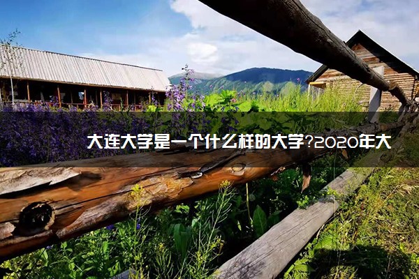 大连大学是一个什么样的大学？2020年大连大学介绍