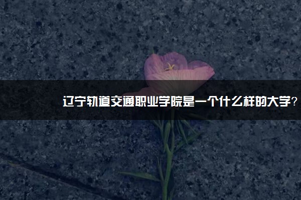 辽宁轨道交通职业学院是一个什么样的大学？2020年辽宁轨道交通职业学院介绍